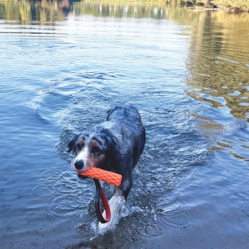 NOBBY: TPR Stick Wafer with elastic handle