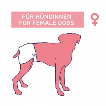 NOBBY: DAIPERS-Female Dogs, x12 L