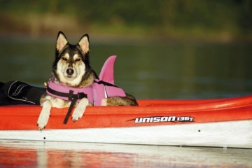 NOBBY: Life-Vest SHARK, L Pink