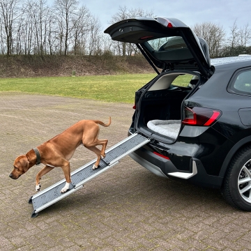 NOBBY: Telescope Ramp Aluminium