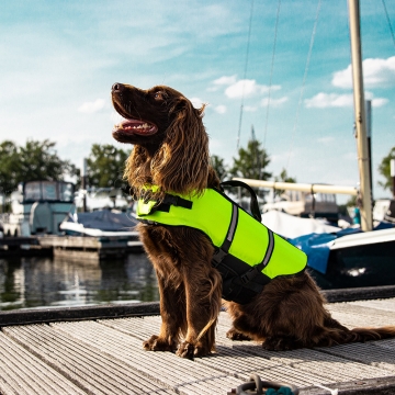 NOBBY: ERGONOMIC Dog Life Vest 3XL