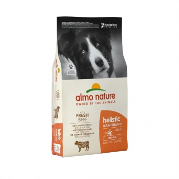 HOLISTIC-M-L size Adult, Fresh Beef, 12kg
