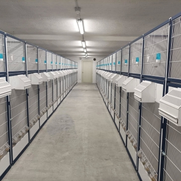 ITALGABBIE-#87 GARDENIA Επαγγελματική Σπονδυλωτή Κλούβα