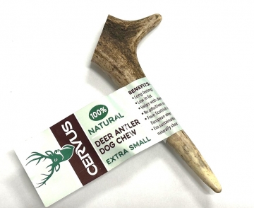 PETSUP: Antler Extra Small (30g - 50g)