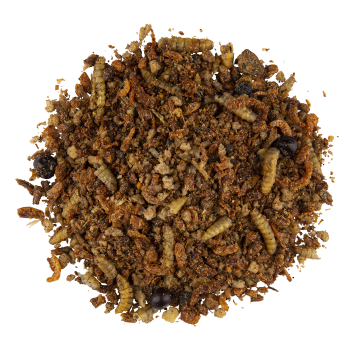 CéDé: INSECT Food, 0,6kg