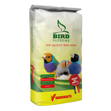 SUPREME: EXCELLENT Gouldian Finch, 20kg