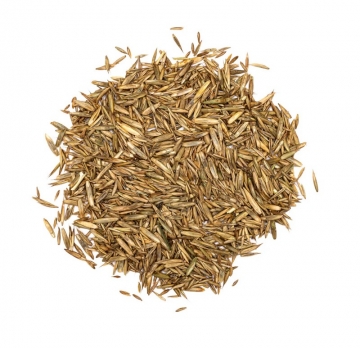 HOEBREGTS-σπόρος ΓΡΑΣΙΔΙ Knaul, σακί 25kg