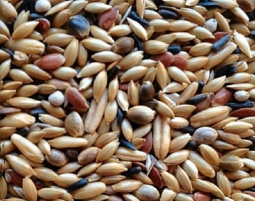 HOEBREGTS-Canary Mix, SUPREME perilla, 20kg