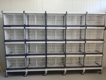 ITALGABBIE-#64 ORCHIDEA Επαγγελματική Ζευγαρώστρα