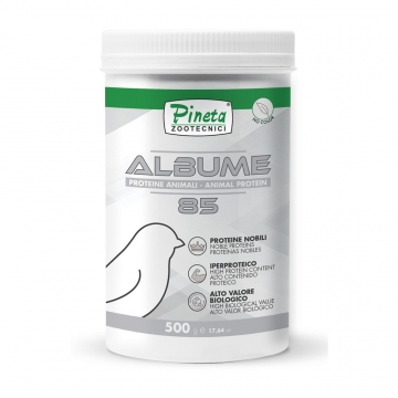 PINETA-protein ALBUMINE  85%  500g
