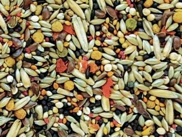 HOEBREGTS-Canary mix TROPICAL, 20kg