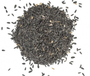 BLATTNER-ΗΛΙΟΣΠΟΡΟΣ υβρίδιο micro, 1kg