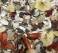 SUPREME: PARROT Multi Fruit, 2,5kg
