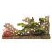 NOBBY: Aqua Ornaments WALL REST with plants