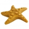 NOBBY DISPLAY:StarSnack Chicken STARFISH x25