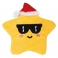 Xmas ''Cool'' STAR