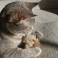 NOBBY: PLUSH squirrel with voice with CATNIP