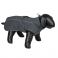 NOBBY: Dog Coat CAUCA grey