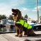 NOBBY: ERGONOMIC Dog Life Vest 2XL