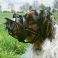 NOBBY: Muzzle Comfort & Safety