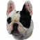 NOBBY-Sticker French BullDog