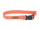 AMIPLAY-Eco Collar COTTON Orange