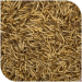 BLATTNER-FLY Larvae dried, 1kg