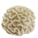 NOBBY: Aqua Ornaments CORAL