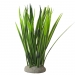 NOBBY: Aqua Ornaments VALLISNERIA