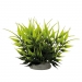 NOBBY: Aqua Ornaments BAMBOO
