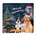 NOBBY+Xmas: StarSnack CALENDAR, DOG