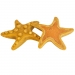 NOBBY DISPLAY:StarSnack Chicken STARFISH x25