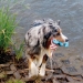 NOBBY: TPR Anchor with rope