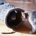 NOBBY: PLUSH Tunnel DIAMOND grey