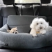 NOBBY: Travel bed LEVIO