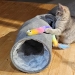 NOBBY: PLUSH crackle Tunnel GAURI