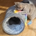 NOBBY: PLUSH crackle Tunnel GAURI