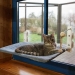 NOBBY: Cat hammock TAPADO