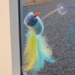 NOBBY: CAT TOY Birdy with CATNIP