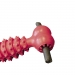 NOBBY: RUBBER toy Bone Red