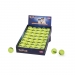 NOBBY DISPLAY: Tennis Ball, x40 Yellow