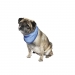 NOBBY-Pet Ice Bandana M