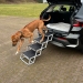 NOBBY: Foldable Aluminim Step