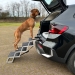 NOBBY: Foldable Aluminim Step