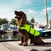 NOBBY: ERGONOMIC Dog Life Vest 3XL