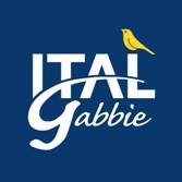 logo_ITALGABBIE.jpg